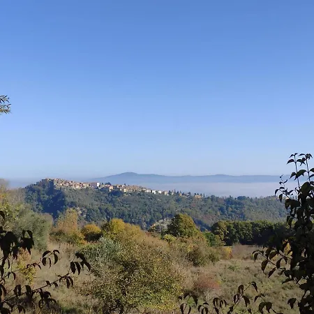 Casetta Edera * Allerona